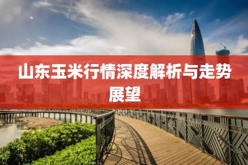 山东玉米行情深度解析与走势展望