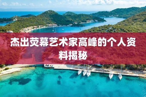杰出荧幕艺术家高峰的个人资料揭秘