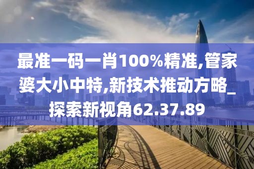 最准一码一肖100%精准,管家婆大小中特,新技术推动方略_探索新视角62.37.89