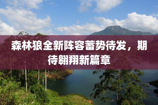 森林狼全新阵容蓄势待发，期待翱翔新篇章