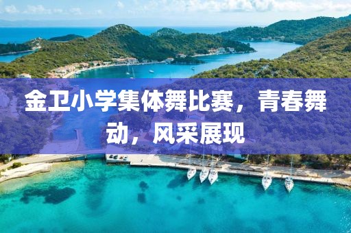 金卫小学集体舞比赛，青春舞动，风采展现