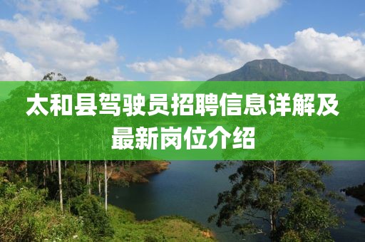 太和县驾驶员招聘信息详解及最新岗位介绍