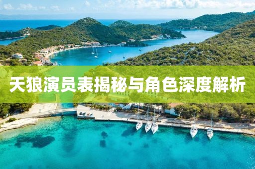 天狼演员表揭秘与角色深度解析