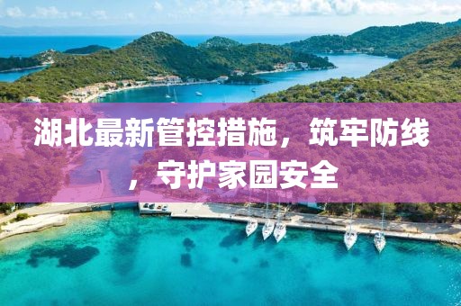 湖北最新管控措施，筑牢防线，守护家园安全