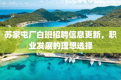 苏家屯厂白班招聘信息更新，职业发展的理想选择
