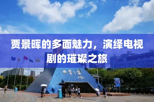 贾景晖的多面魅力，演绎电视剧的璀璨之旅