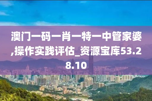 澳门一码一肖一特一中管家婆,操作实践评估_资源宝库53.28.10
