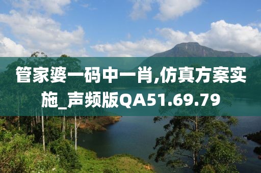管家婆一码中一肖,仿真方案实施_声频版QA51.69.79