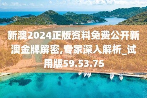 新澳2024正版资料免费公开新澳金牌解密,专家深入解析_试用版59.53.75