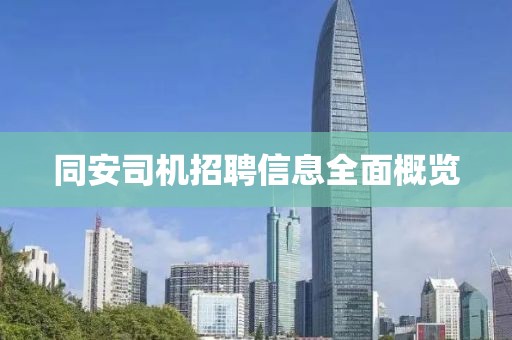 不是男人 第12页