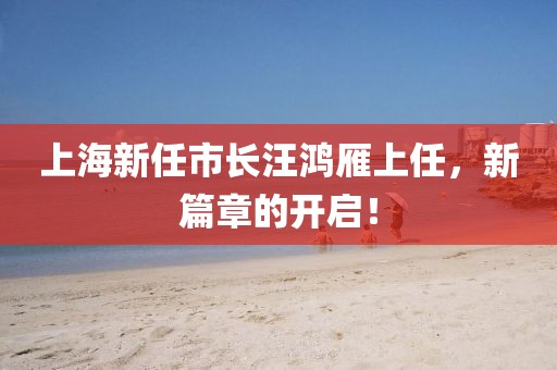 上海新任市长汪鸿雁上任，新篇章的开启！