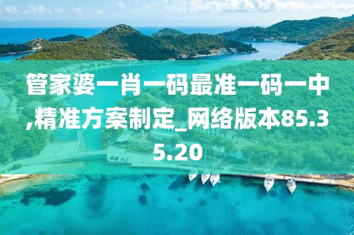 管家婆一肖一码最准一码一中,精准方案制定_网络版本85.35.20
