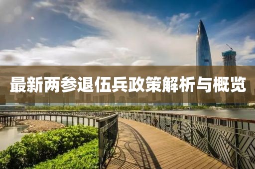 最新两参退伍兵政策解析与概览