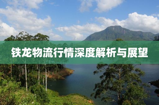 铁龙物流行情深度解析与展望