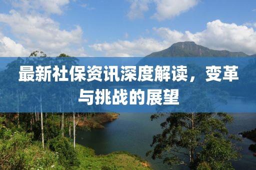 最新社保资讯深度解读，变革与挑战的展望