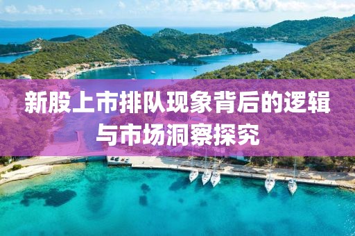 新股上市排队现象背后的逻辑与市场洞察探究