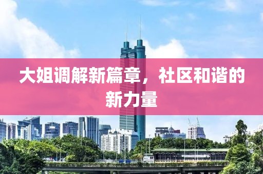 大姐调解新篇章，社区和谐的新力量