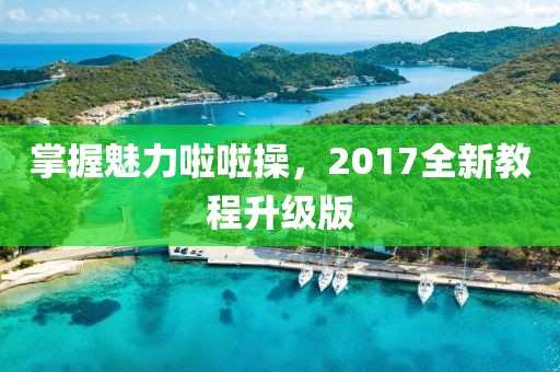 掌握魅力啦啦操，2017全新教程升级版