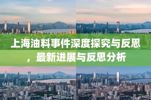 上海油料事件深度探究与反思，最新进展与反思分析