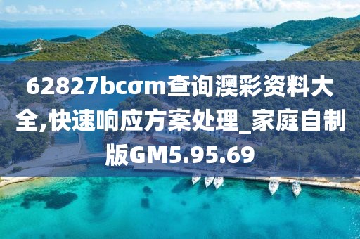 62827bcσm查询澳彩资料大全,快速响应方案处理_家庭自制版GM5.95.69