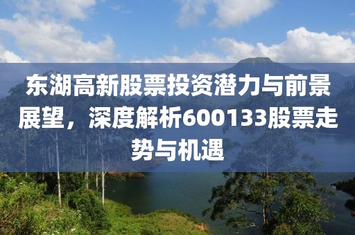 东湖高新股票投资潜力与前景展望，深度解析600133股票走势与机遇