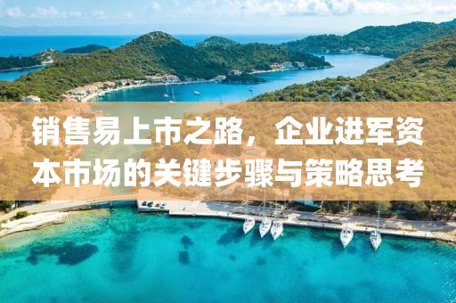 销售易上市之路，企业进军资本市场的关键步骤与策略思考