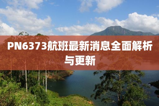 PN6373航班最新消息全面解析与更新