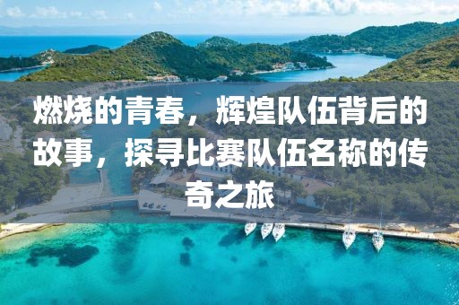 燃烧的青春，辉煌队伍背后的故事，探寻比赛队伍名称的传奇之旅