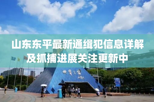 山东东平最新通缉犯信息详解及抓捕进展关注更新中