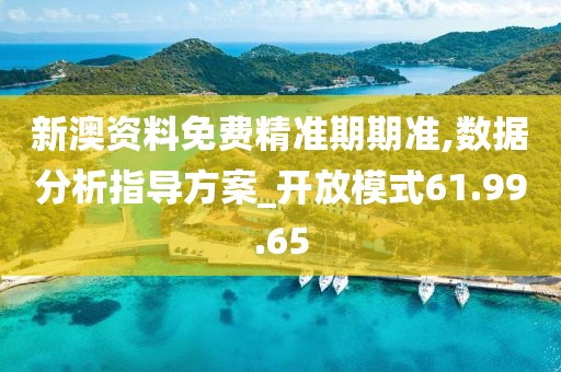 新澳资料免费精准期期准,数据分析指导方案_开放模式61.99.65