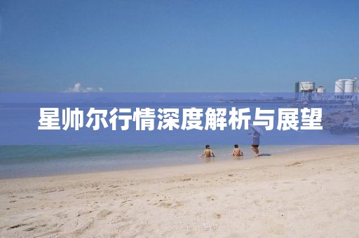星帅尔行情深度解析与展望
