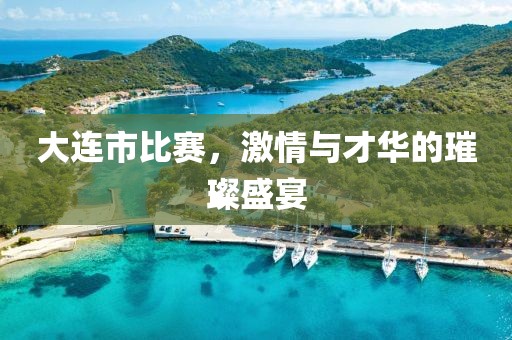 大连市比赛，激情与才华的璀璨盛宴