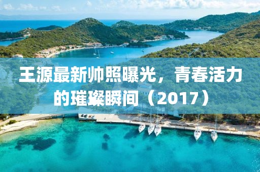 王源最新帅照曝光，青春活力的璀璨瞬间（2017）