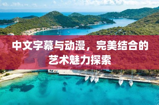 中文字幕与动漫，完美结合的艺术魅力探索