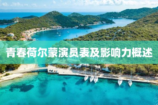 青春荷尔蒙演员表及影响力概述