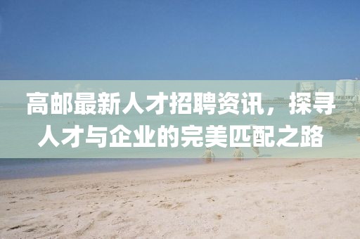 高邮最新人才招聘资讯，探寻人才与企业的完美匹配之路