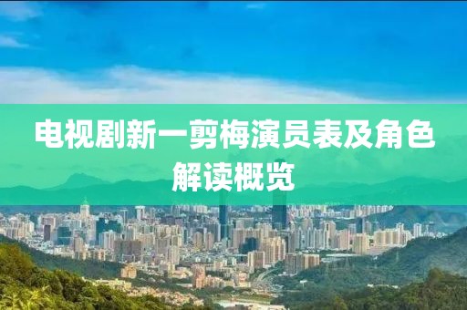 电视剧新一剪梅演员表及角色解读概览