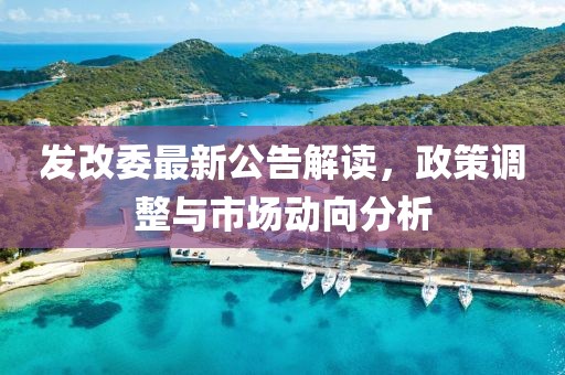 发改委最新公告解读，政策调整与市场动向分析