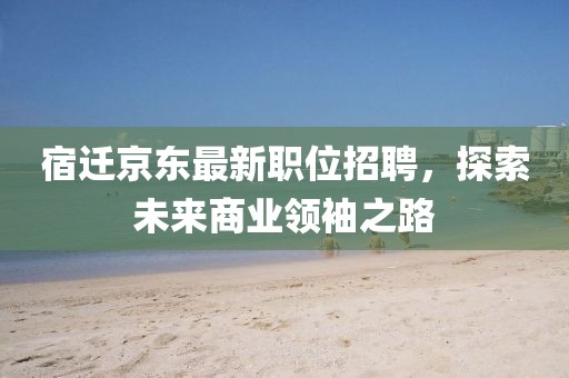 宿迁京东最新职位招聘，探索未来商业领袖之路