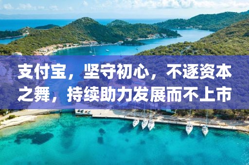 支付宝，坚守初心，不逐资本之舞，持续助力发展而不上市