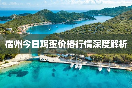 宿州今日鸡蛋价格行情深度解析