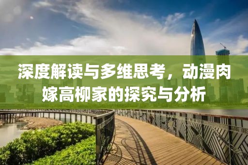 深度解读与多维思考，动漫肉嫁高柳家的探究与分析