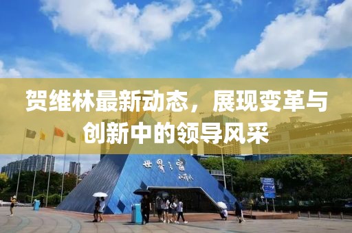 贺维林最新动态，展现变革与创新中的领导风采