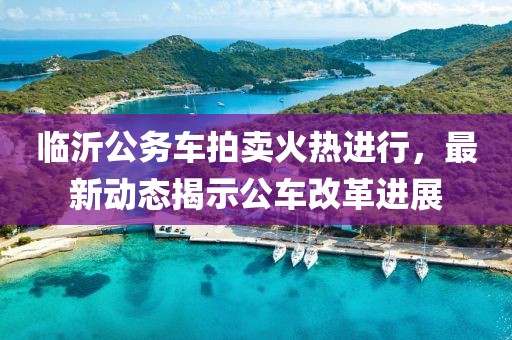 临沂公务车拍卖火热进行，最新动态揭示公车改革进展