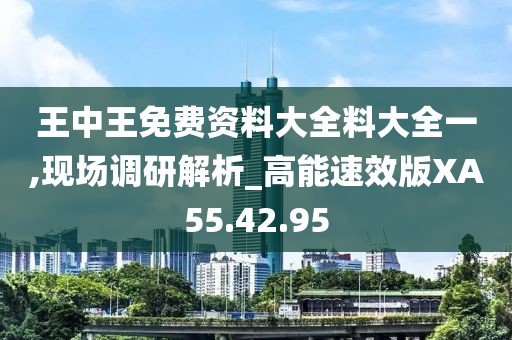 王中王免费资料大全料大全一,现场调研解析_高能速效版XA55.42.95