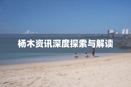 杨木资讯深度探索与解读