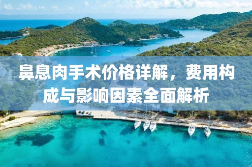 鼻息肉手术价格详解，费用构成与影响因素全面解析