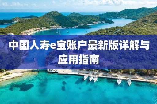 中国人寿e宝账户最新版详解与应用指南