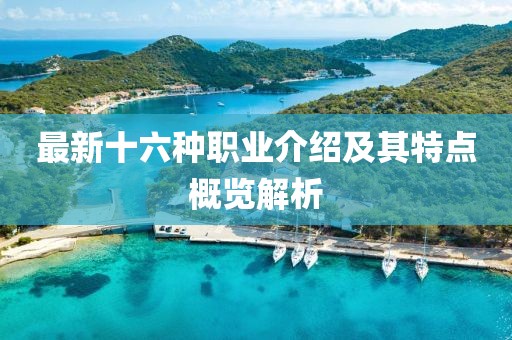 最新十六种职业介绍及其特点概览解析