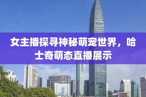 女主播探寻神秘萌宠世界，哈士奇萌态直播展示